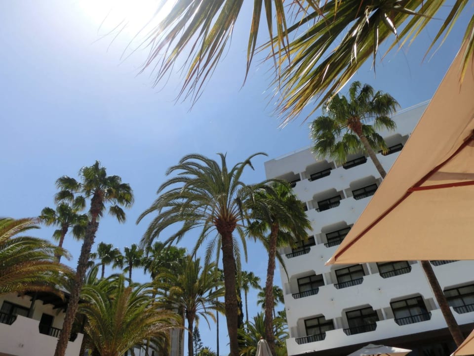 Sonne, Idylle, Entspannung Corallium Beach by Lopesan Hotels - Adults only