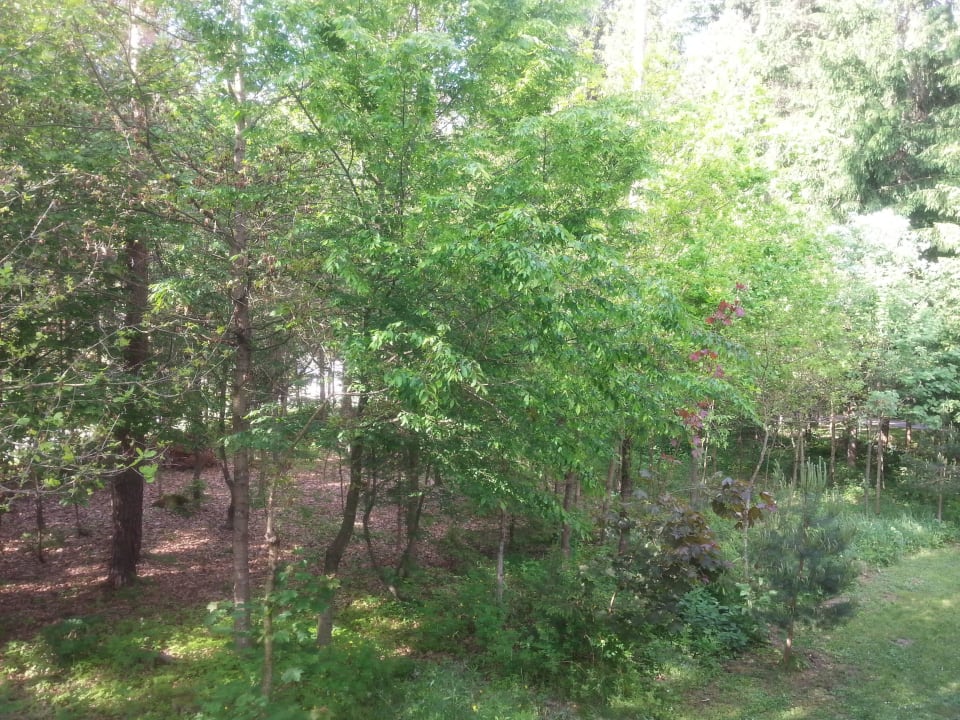 Ausblick vom Zimmer Pension Fischinger