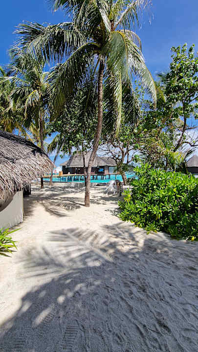 Gartenanlage Thulhagiri Island Resort