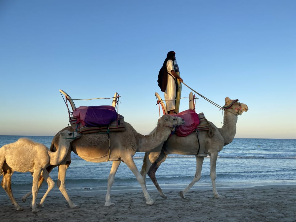 Strand Aldiana Club Djerba Atlantide