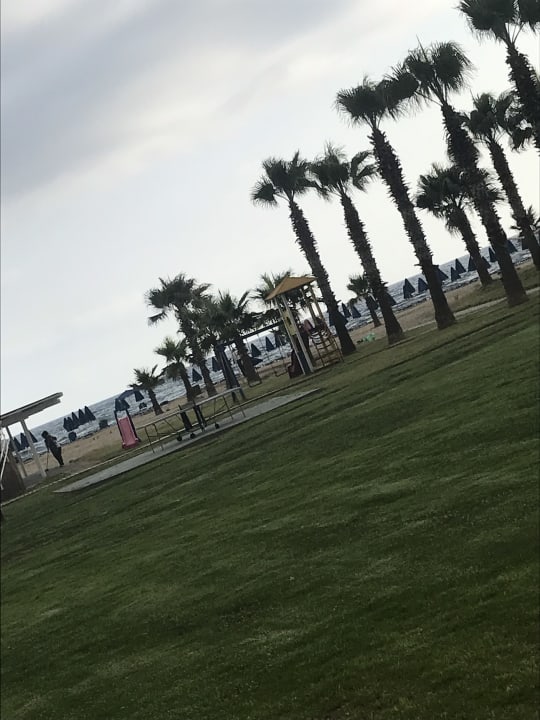 Garten Delfina Tropic Beach