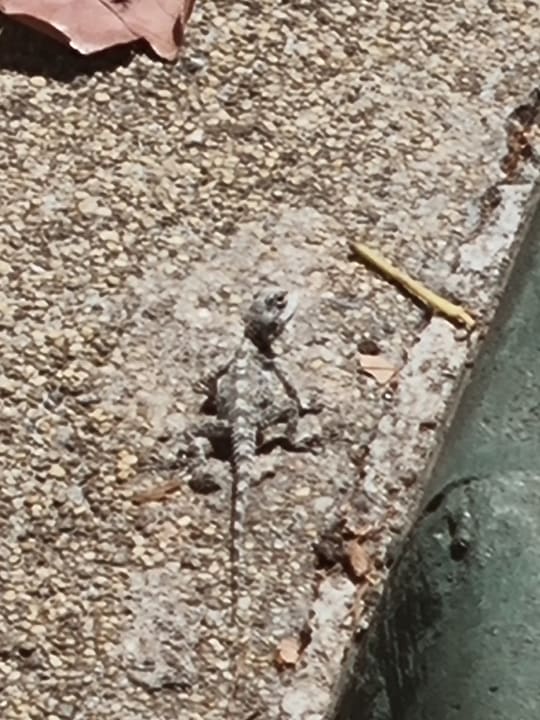 Sonstiges Labranda Alantur Resort