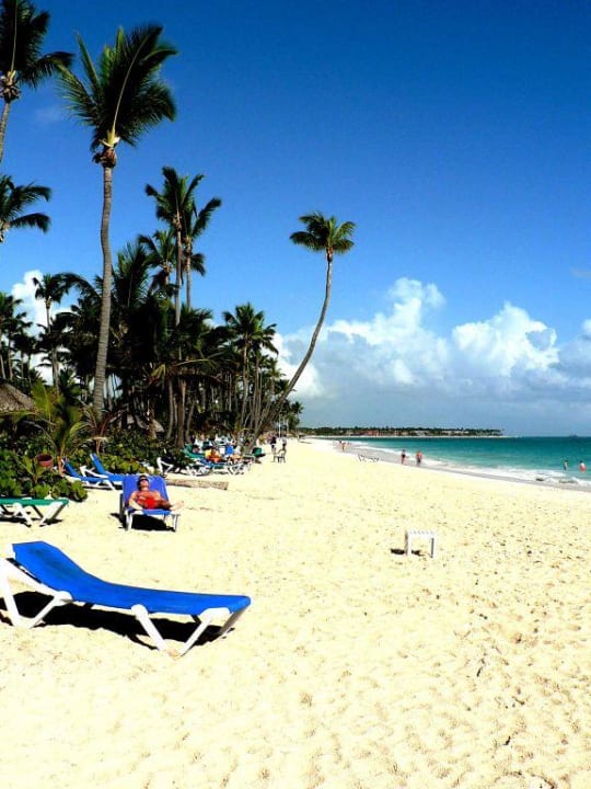 Palmen... Grand Palladium Select Bávaro Resort & Spa