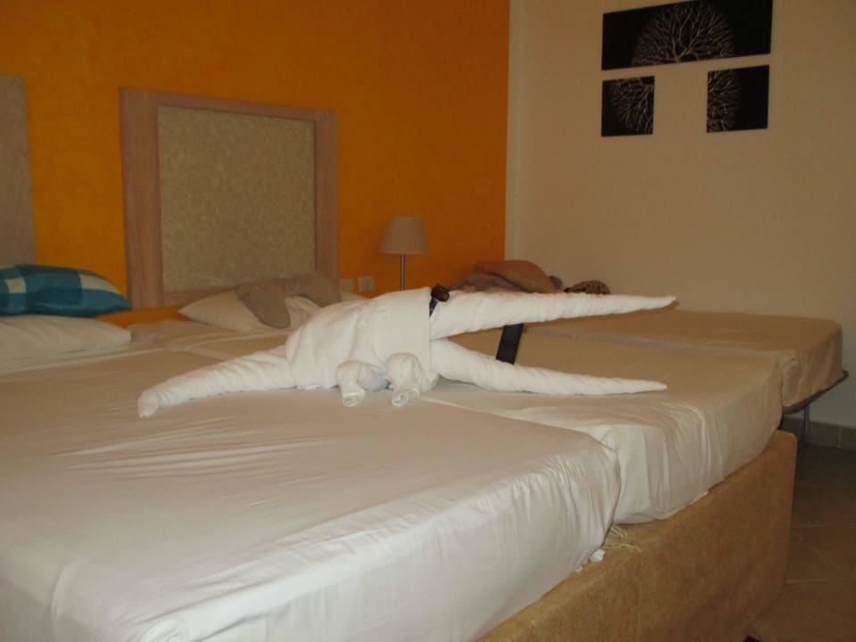 Einfach nur lieb Hotel Gorgonia Beach Resort