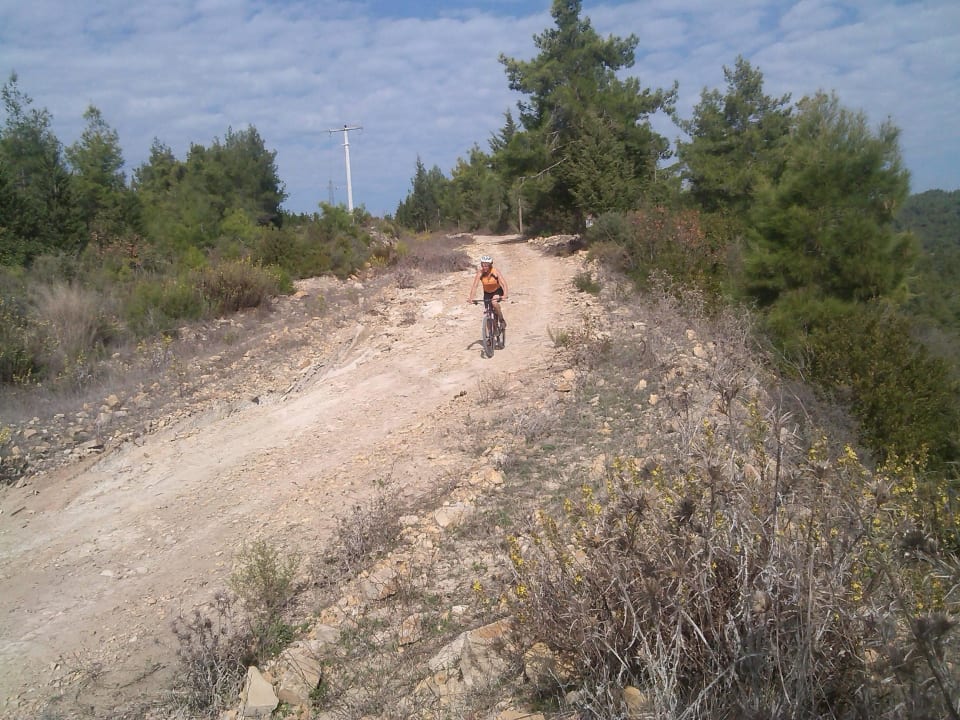 Afdaling naar het dal TUI MAGIC LIFE Jacaranda