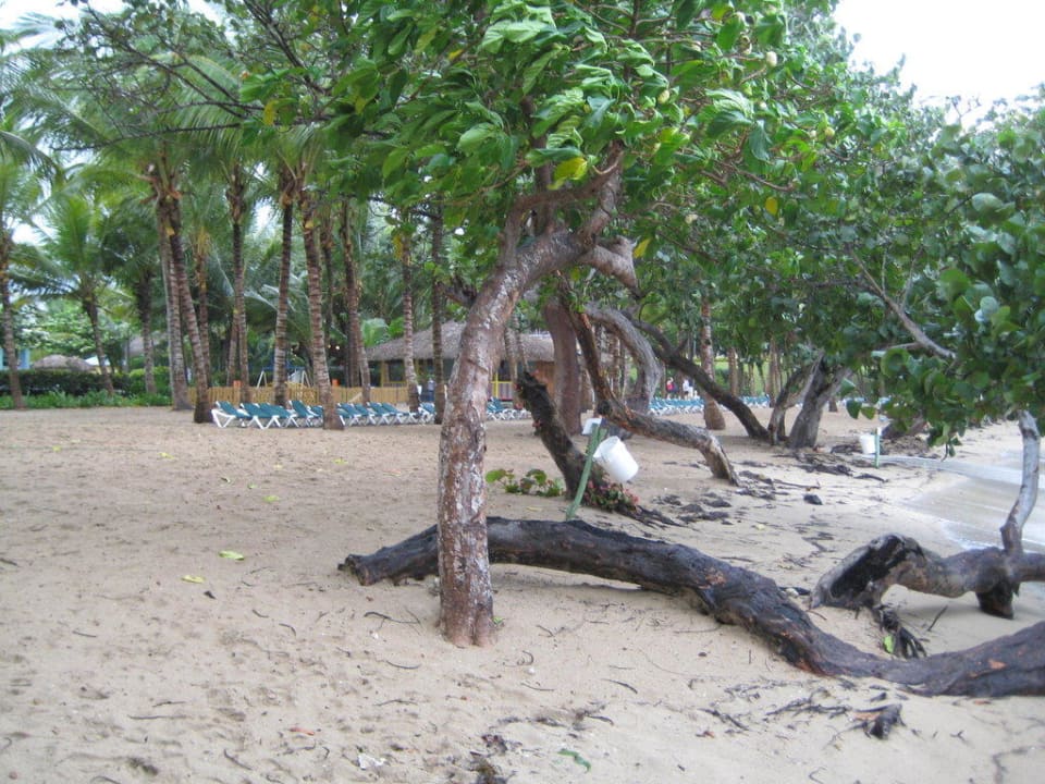 Nach dem Unwetter Senator Puerto Plata Hotel