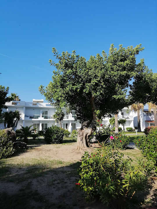 Gartenanlage Atlantis Hotel