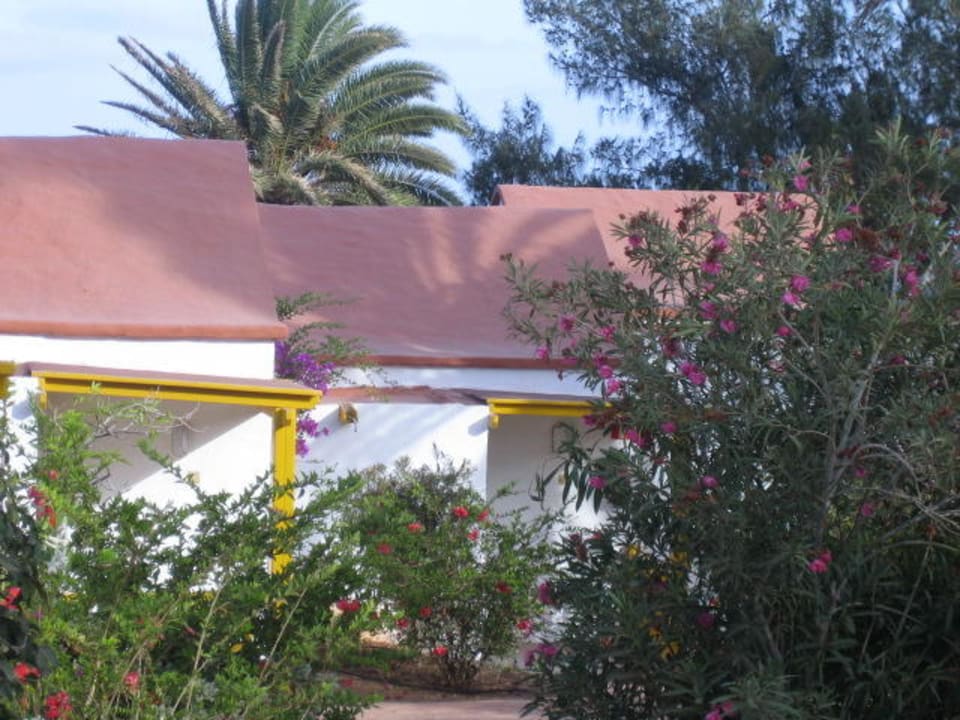 Bungalows Aldiana Club Fuerteventura