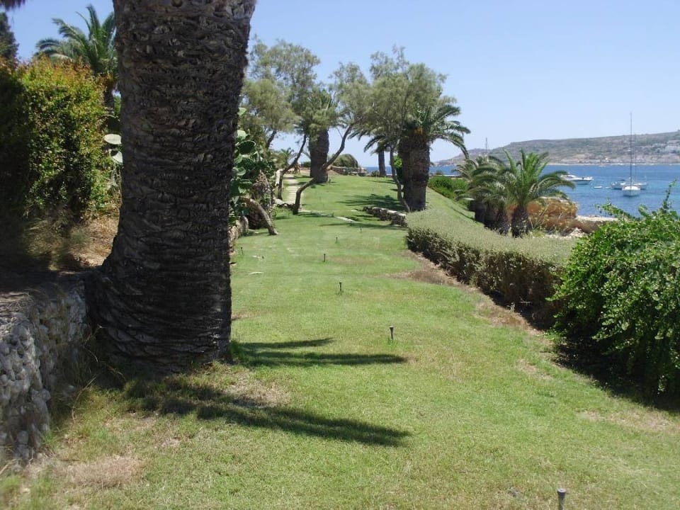 Grünanlagen Apartment in Mellieha Bay