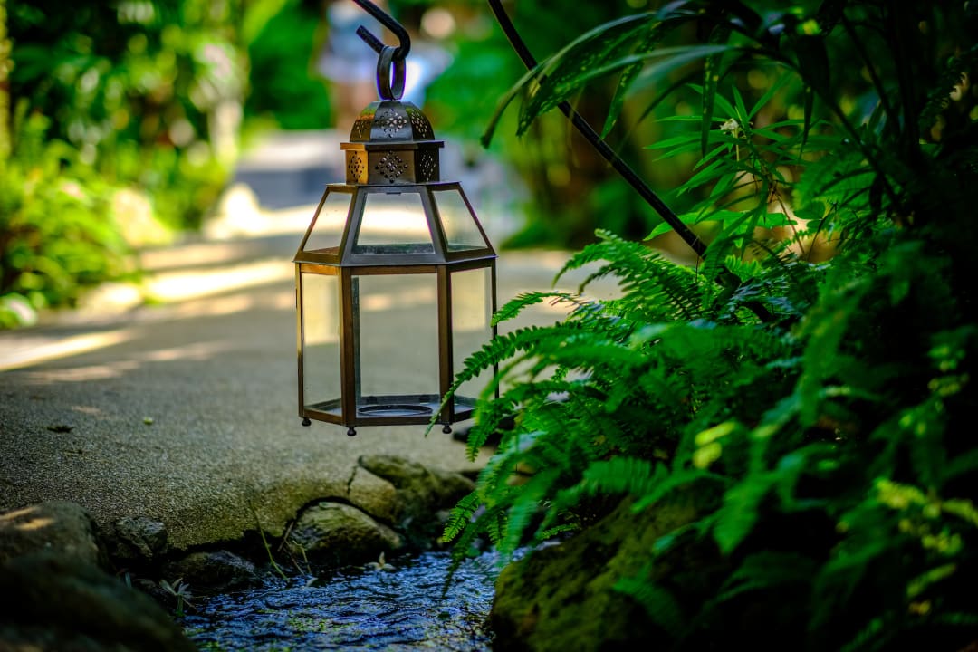 Gartenanlage Zazen Boutique Resort & Spa