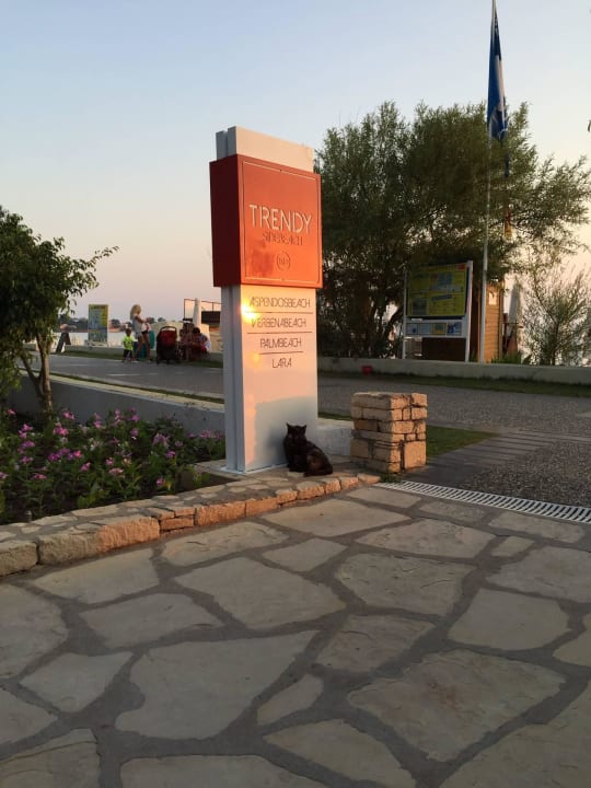 Promenade Trendy Side Beach Hotel - Adults only