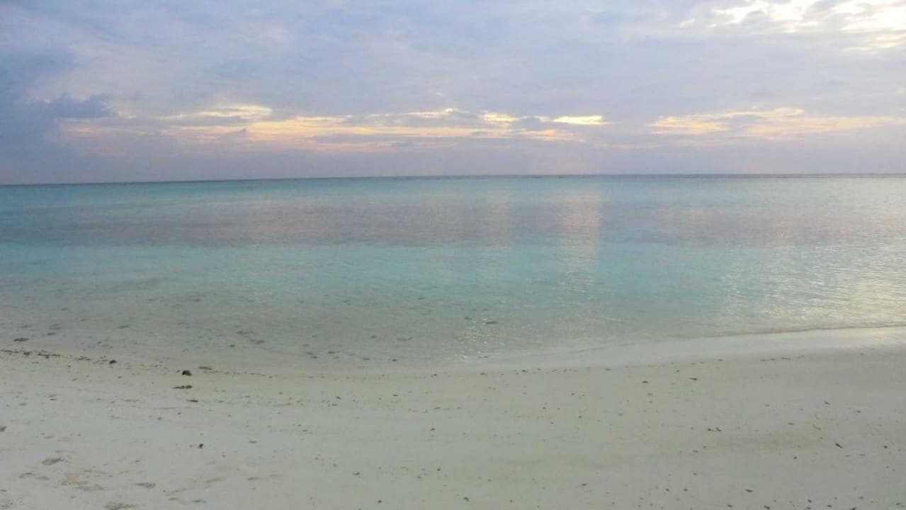 Strand Summer Island Maldives