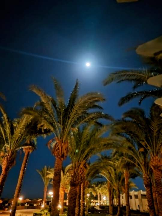 Außenansicht Menaville Safaga