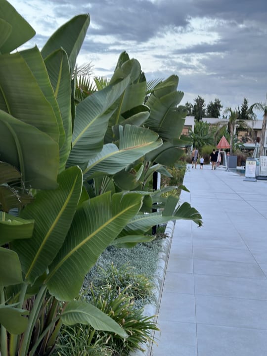 Gartenanlage Paloma Finesse