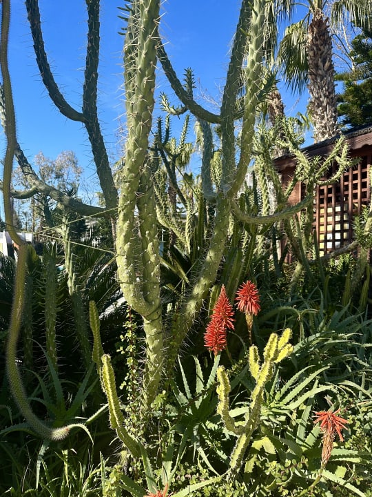 Gartenanlage Hotel Delphin Imperial