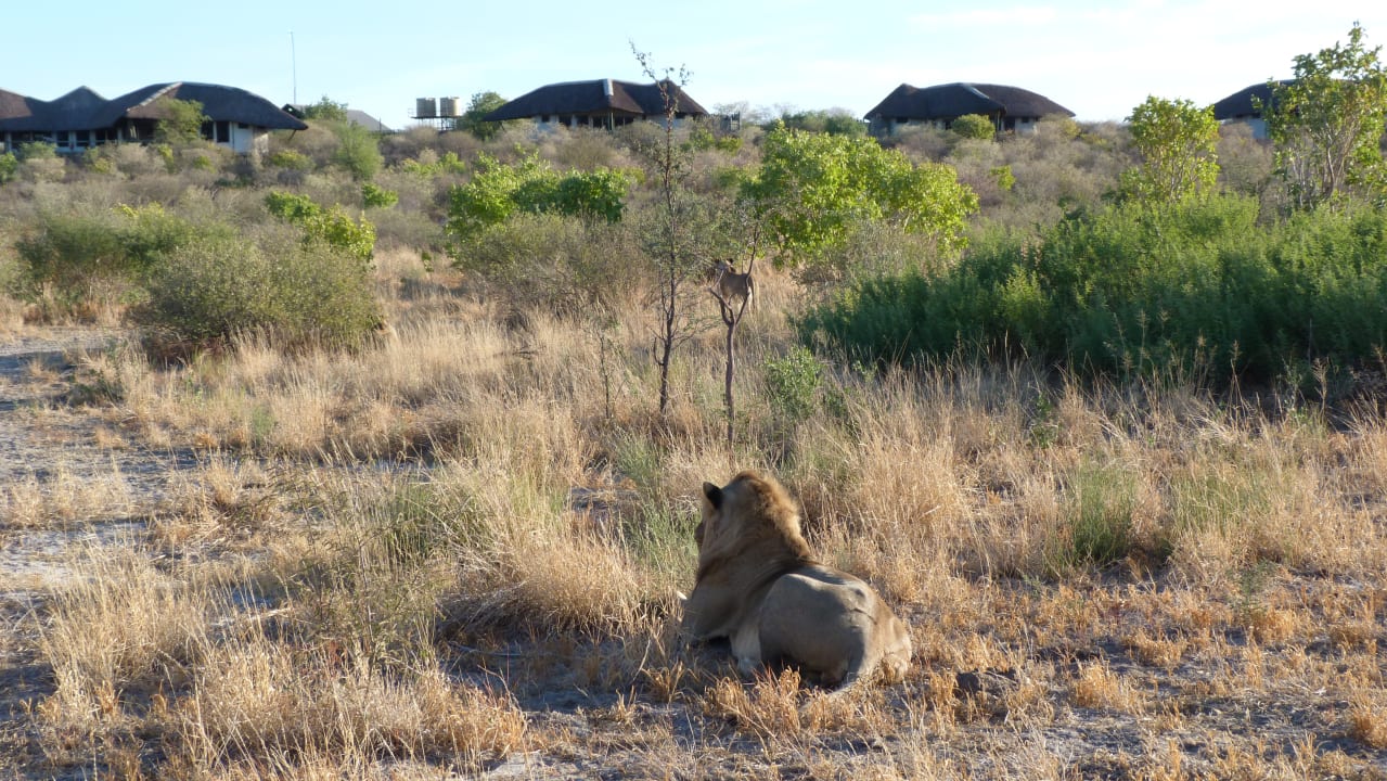 Sport & Freizeit Tau Pan Camp