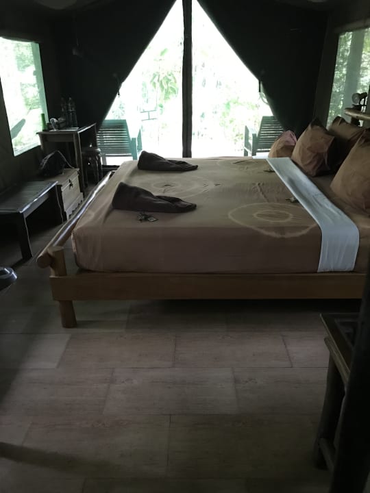 Zimmer Elephant Hills