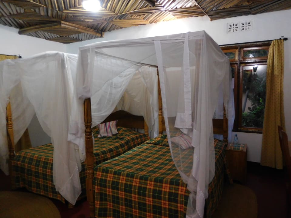 Zimmer Bougainvillea Safari Lodge