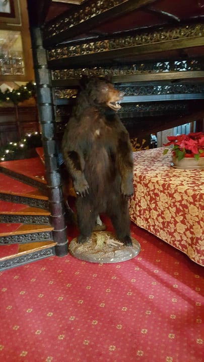 Eins von vielen Tieren Hotel Noma Residence