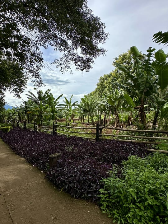 Außenansicht Ngorongoro Farm House
