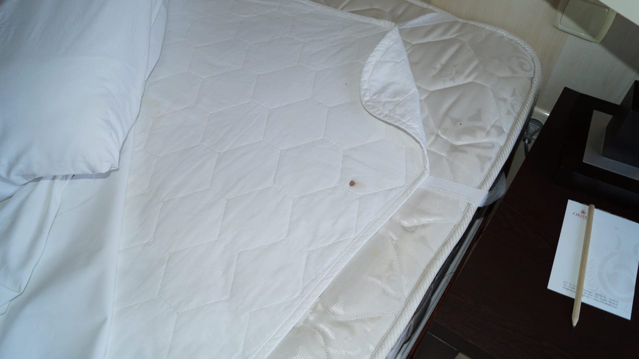 Die Bettwäsche wurde nicht gewechselt Hotel Orfeus Park