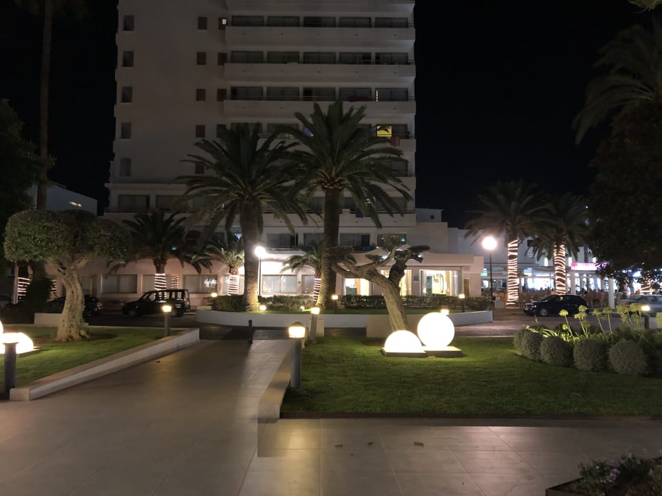 Garten CM Playa del Moro