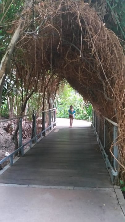 Durchgang - Urwald Tropical Islands Resort