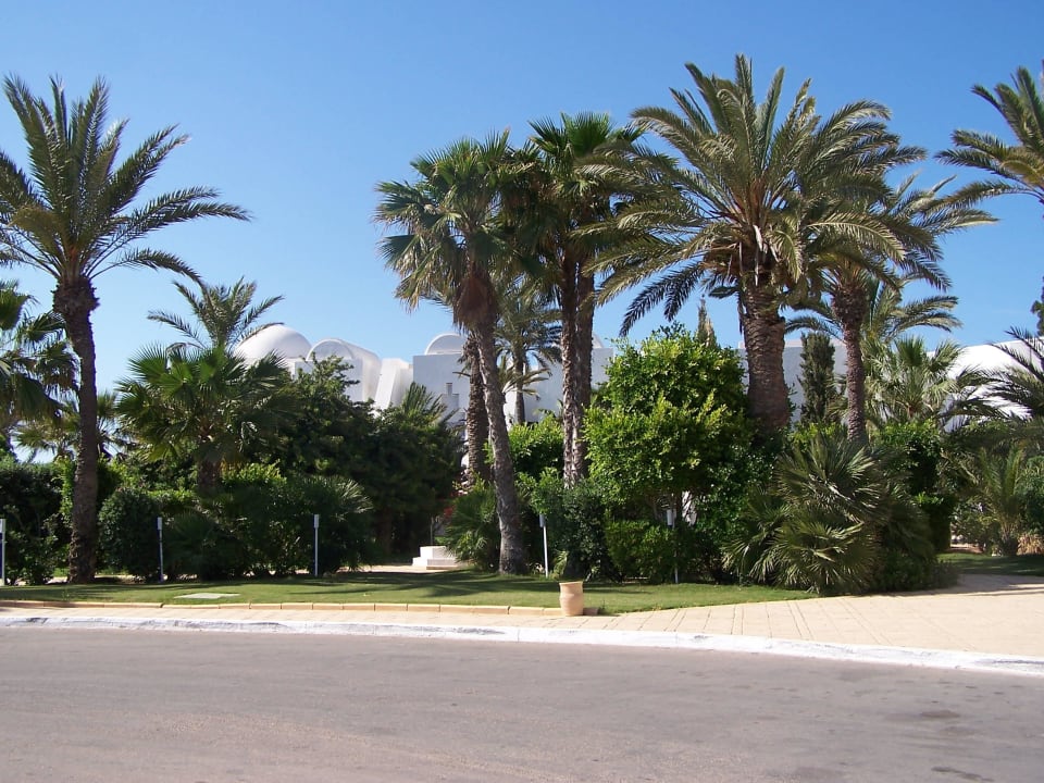 Und es grünt so grün Radisson Blu Palace Resort & Thalasso Djerba