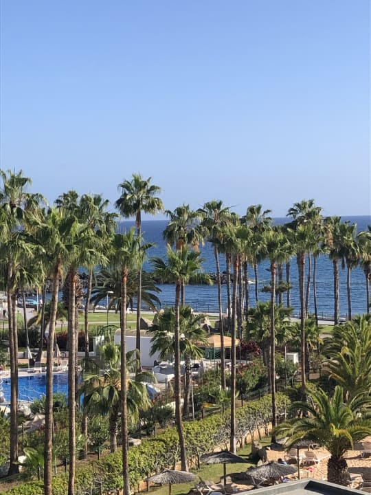 Ausblick Hotel Riu Palace Tenerife