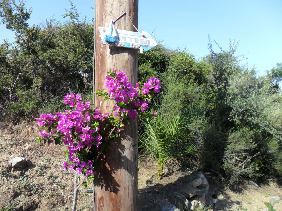 To the beach! GreenHill Holiday Suites Sarti