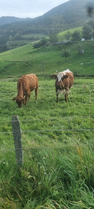 Sport & Freizeit Bauernhof Bernhardenhof
