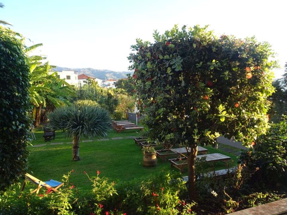 Gartenanlage Hotel Madeira Panoramico
