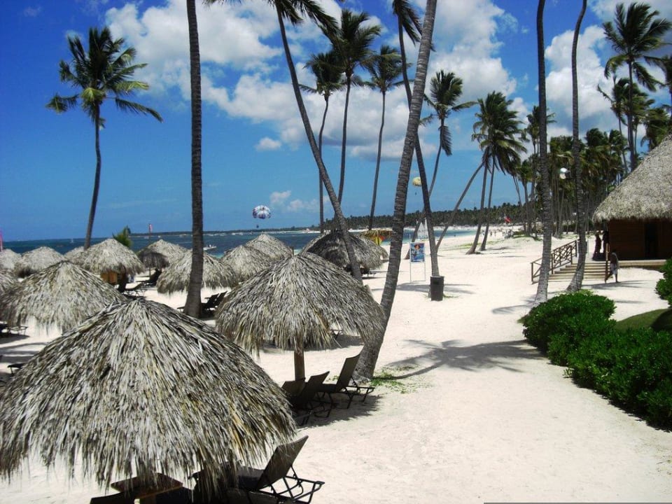 Blick auf den Strand Dreams Royal Beach Punta Cana
