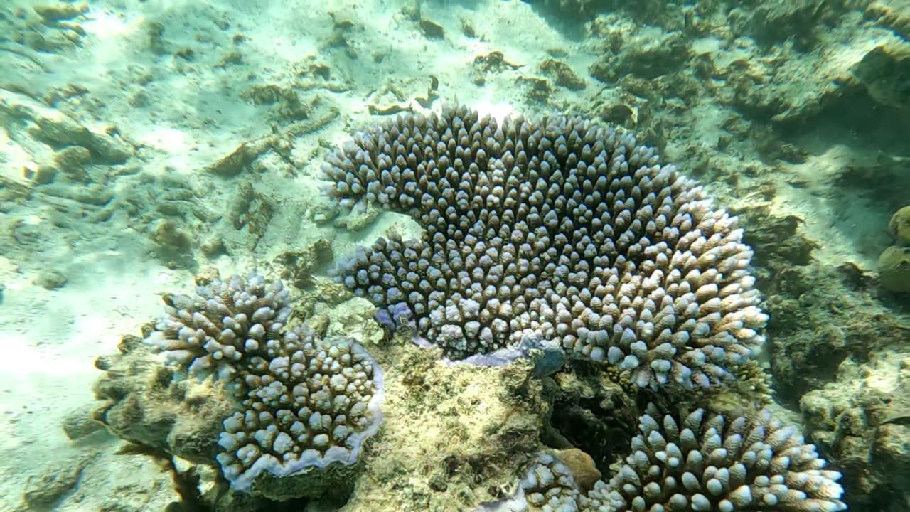 Sport & Freizeit NH Collection Maldives Havodda Resort