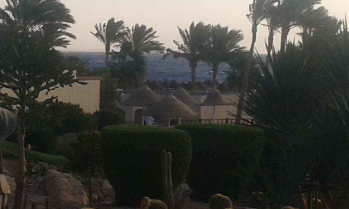 Ausblick Parrotel Beach Resort