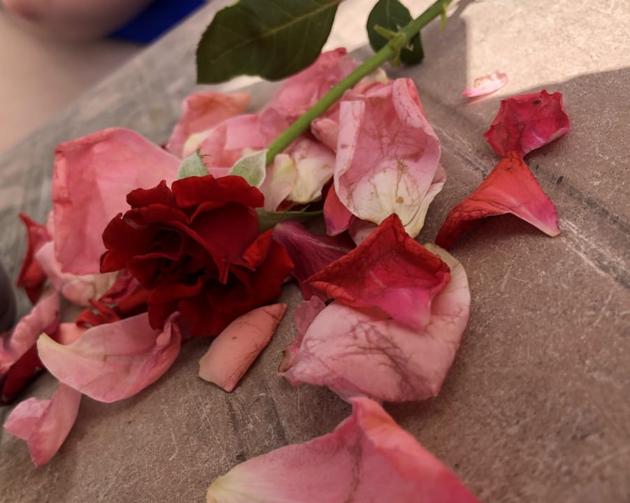 Sonstiges Hotel Sirma