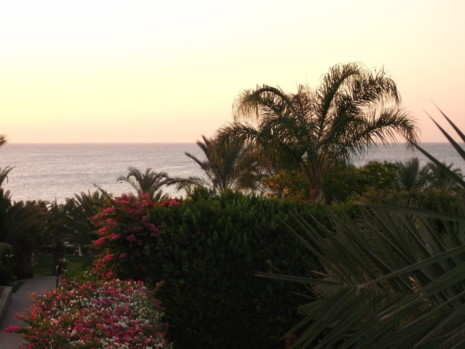 Ausblick von Zimmer 1101 Fort Arabesque Resort, Spa & Villas