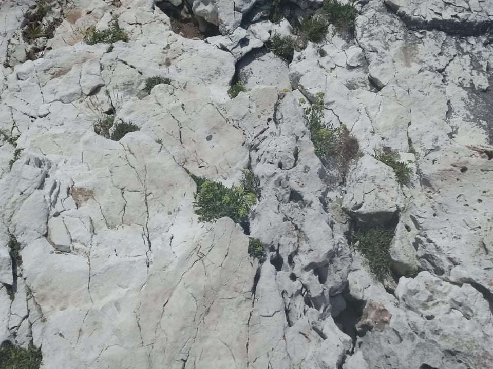 Sonstiges Park Plaza Verudela Pula