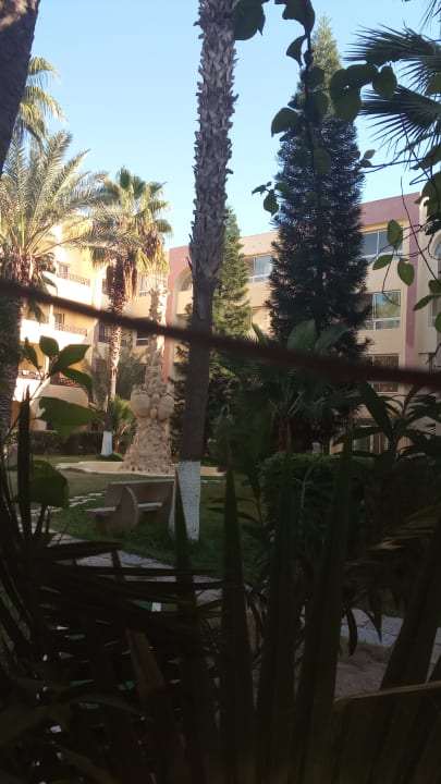 Ausblick Hotel Nesrine