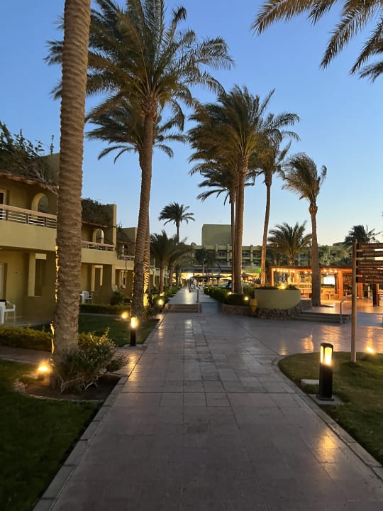 Gartenanlage Palm Beach Resort