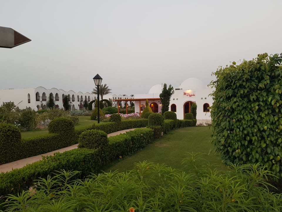 Gastro Hotel Gorgonia Beach Resort