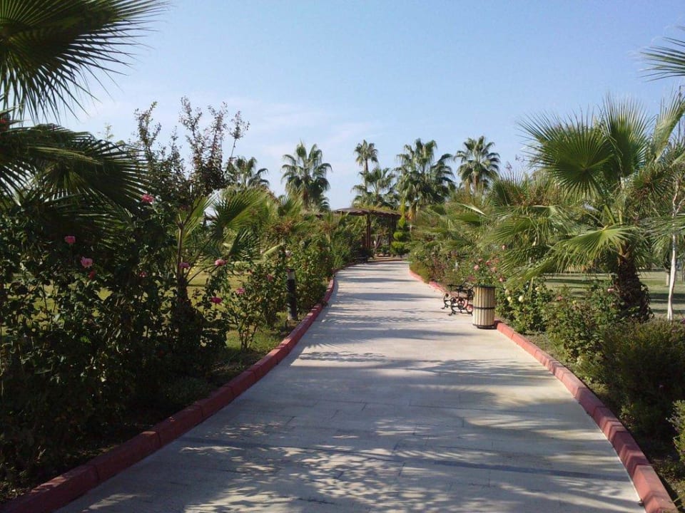 Weg zum 'Strand Saphir Resort & Spa