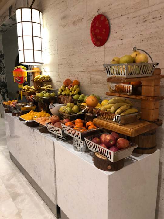 Gastro Acanthus Cennet Barut Collection