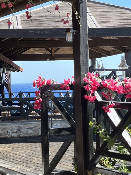 Gastro Hotel Kalithea Horizon Royal