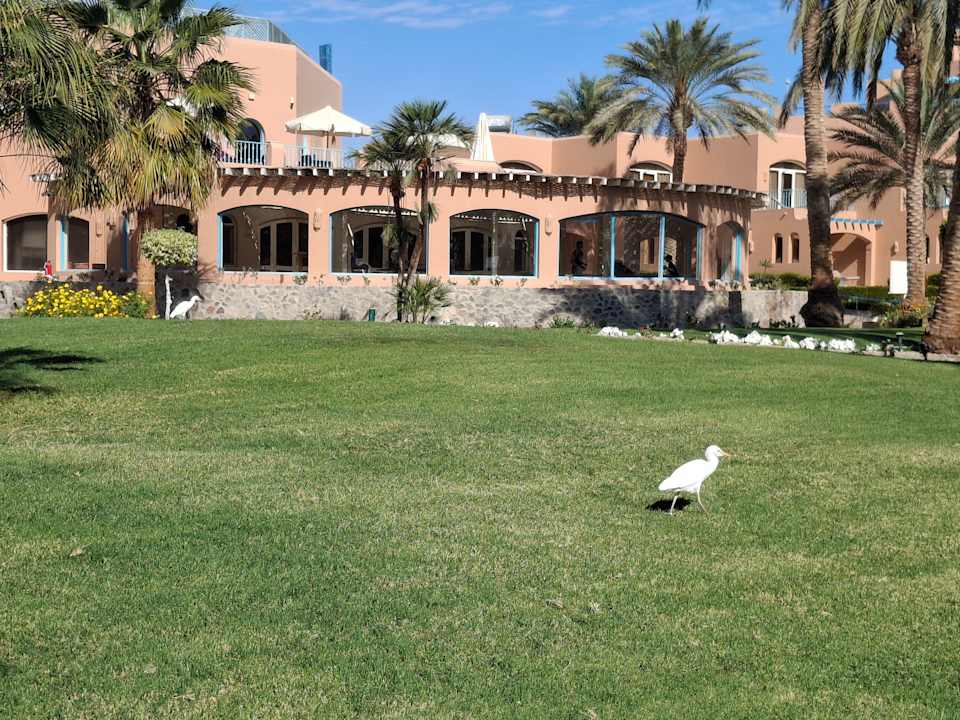 Sonstiges Club Paradisio El Gouna, Red Sea