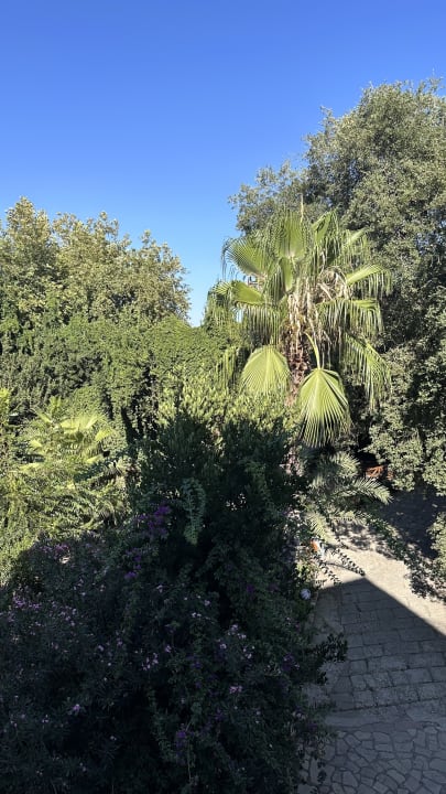 Außenansicht Hotel Neptün/Neptun