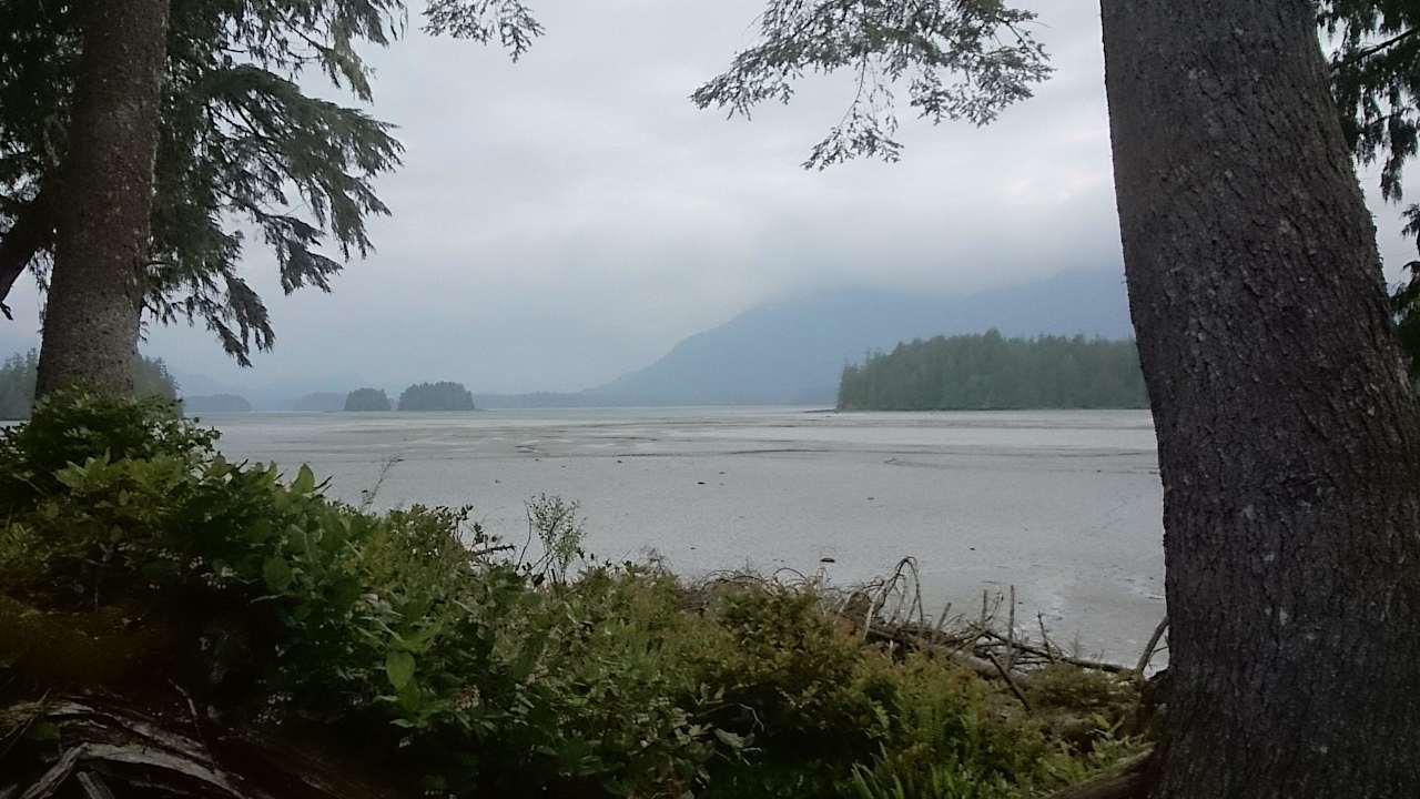 Tolle etwas gespenstische Aussicht  Black Bear Guesthouse