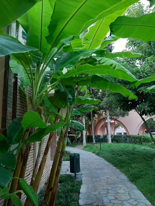 Gartenanlage Limak Limra Hotel & Resort