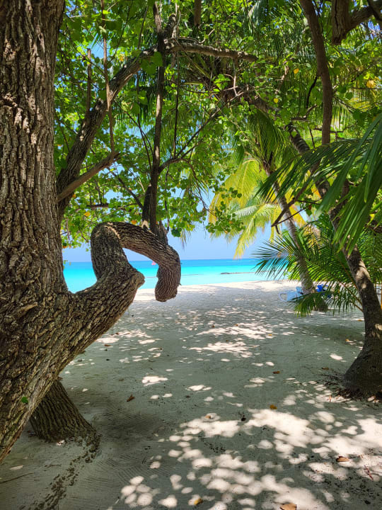 Strand Kuramathi Maldives