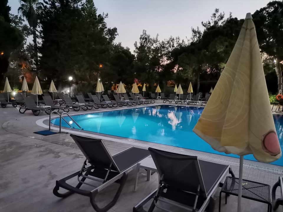 Pool Asteria Collection Side